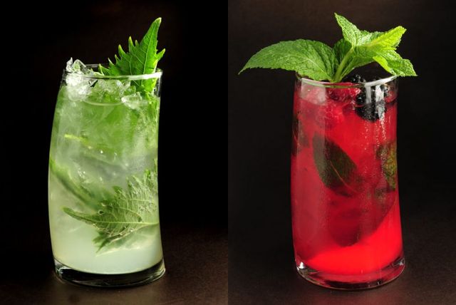 Mojitos Torani